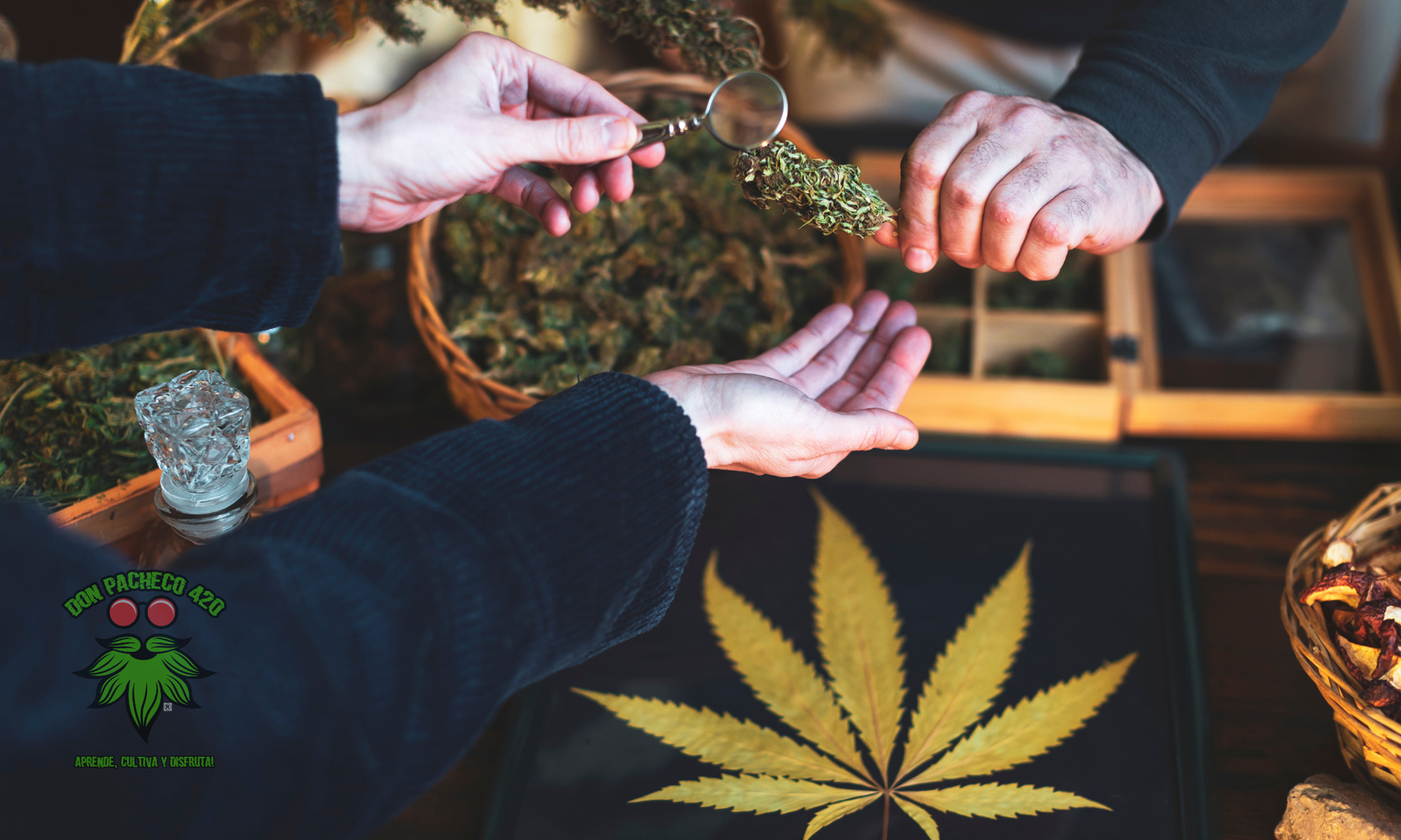 marihuana